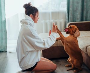 Dog Training at Home