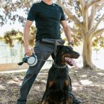 alpha dog training prong collar