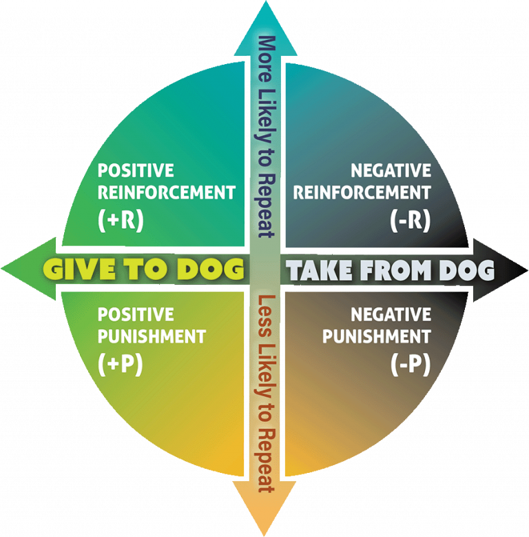 Operant Conditioning Dog Training How to Correct Unwanted Behavior