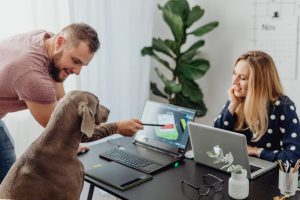 Consider Online Dog Training