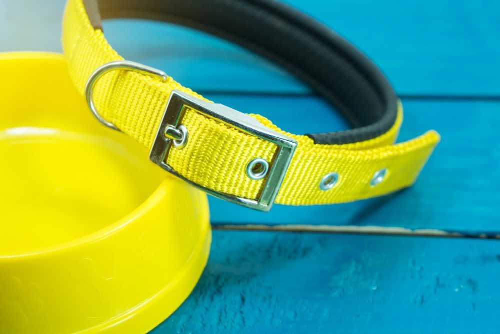 Dog Training Collars How to Choose the Best Collar 2023 Guide Dog Training Newbie