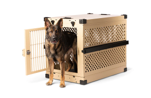 Impact Dog Crate large breed collapsible