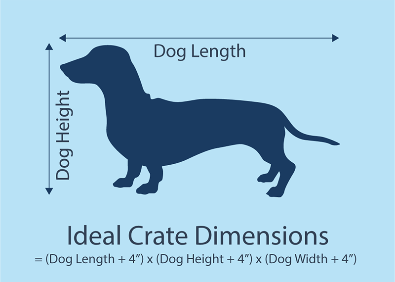How to measure for the best training crate for your dog