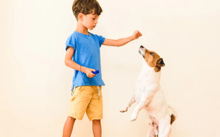 boy training dog using negative punishment when paws leave floor