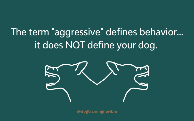 aggressive and dominant behavior