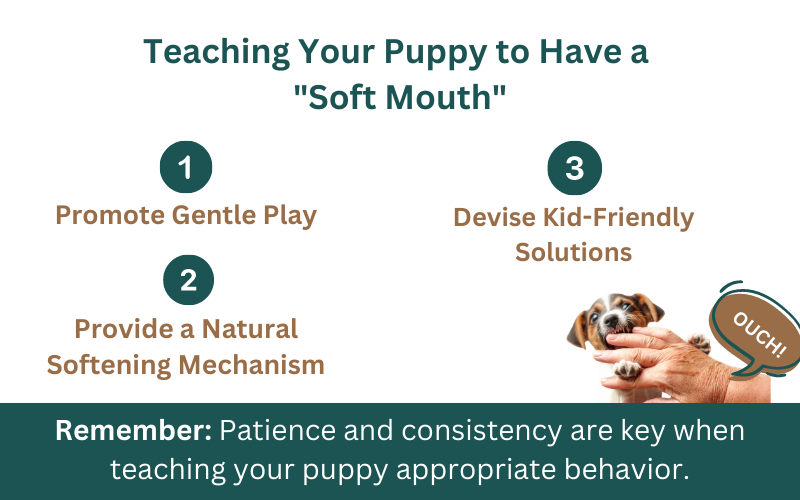 Mouthy Dog: Training Your Puppy to Have a "Soft Mouth"
