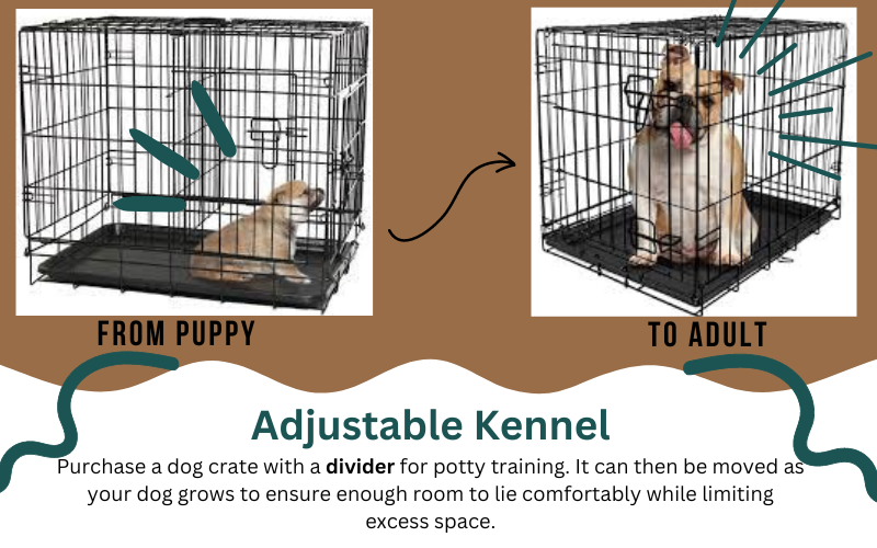 Adjustable Kennels for Crate Training