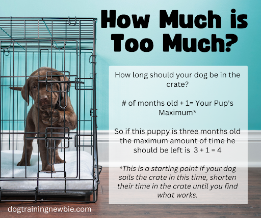 How Much Crate Training